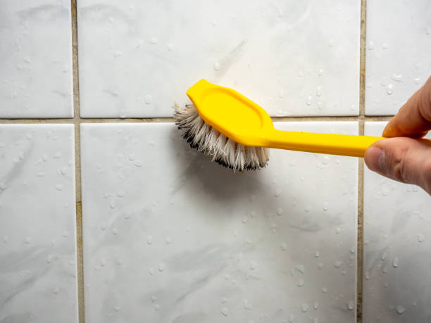 Best Emergency Mold Remediation in Newcomerstown, OH
